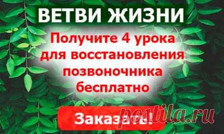Получите 4 бесплатных урока по восстановлению позвоночника от Алексея Маматова - врача-невролога, остеопата и мануального терапевта, основателя. &quot;Клуба Здоровья и Долголетия А. Маматова». &quot;Когда болезней много, болезнь одна - позвоночник&quot;, - сказал Гиппократ. На сегодняшний день в Клубе более 60 000 участников, которые получают полезные материалы и бесплатные уроки по Здоровью. Также, у вас появится возможность участвовать в бесплатных онлайн-занятиях А. Маматова.