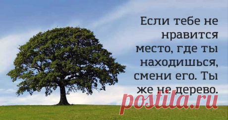 16 задорных открыток, чтобы развеять грусть и хандру — Болтай