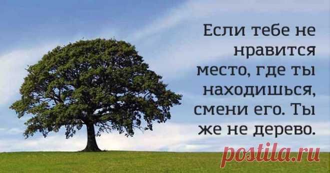 16 задорных открыток, чтобы развеять грусть и хандру — Болтай