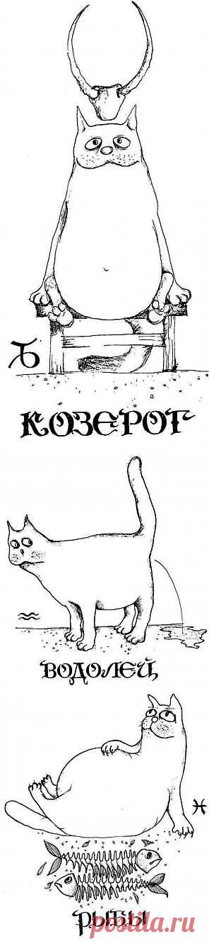 "У нас традиция: каждый год, 31 января, мы идем… худеть", или Гороскоп для похудения | Диеты со всего света