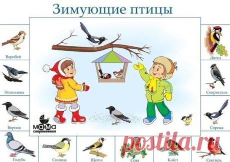 ПЛАКАТ "ЗИМУЮЩИЕ ПТИЦЫ" Сохраните себе, чтобы не потерять ✔