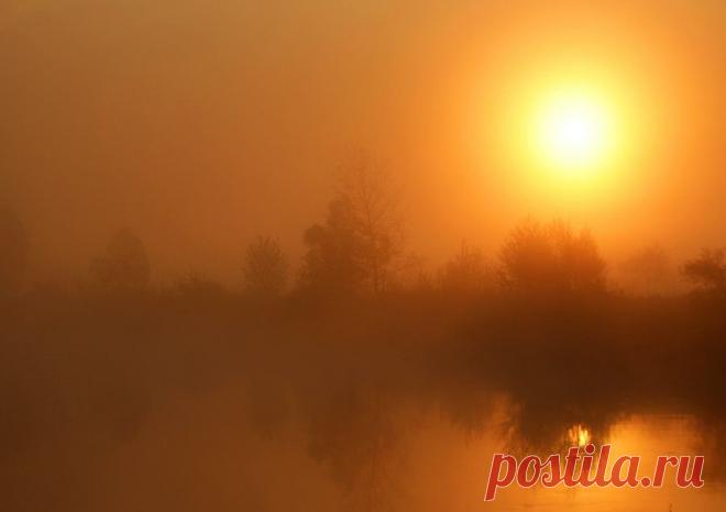 Русское раздолье.