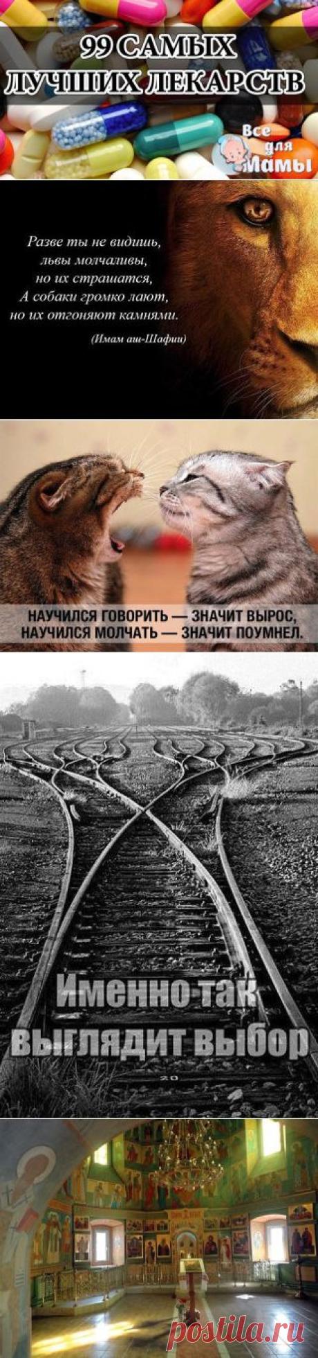 Valentina Davydova | VK
  Обязательно сохраните.

 Простуда

1. Ибупрон – сильное обезболивающие средство, быстро действует, в виде шипучих таблеток щадит желудок, а в свечах удобен для малышей.
2. Колдрекс – отличный сосудосуживающий препарат. Быстро действует, потому что его растворяют в горячей воде.
3. Назол – избавляет от насморка и не дает пересыхать слизистой оболочке носа, действует 12 часов.
4. Нурофен – скорая помощь, действует быстро. Для малышей есть свечи,