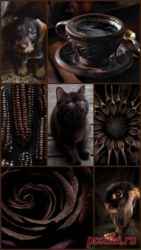 (20) Pinterest