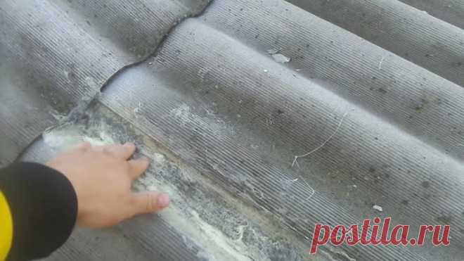 (55) Одноклассники