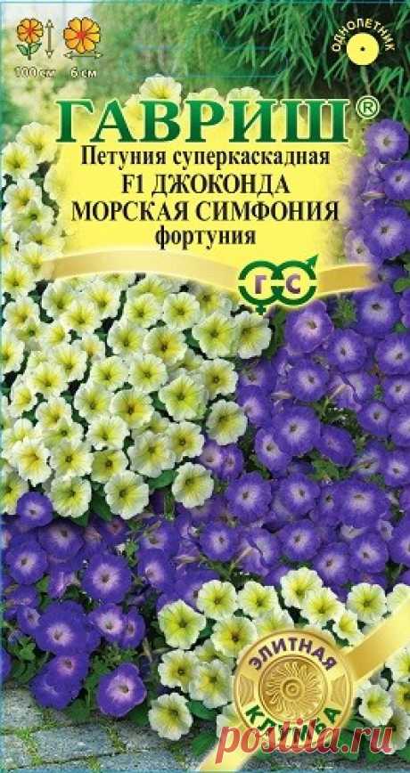 Петуния многоцветковая &quot;Джоконда Морская симфония F1&quot; (Фортуния)