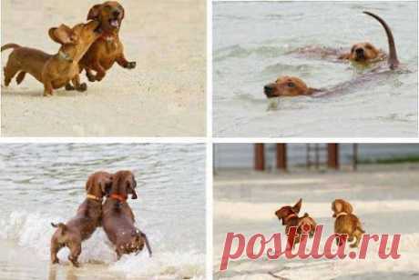 Don't Forget To Follow: +Photography ﻿