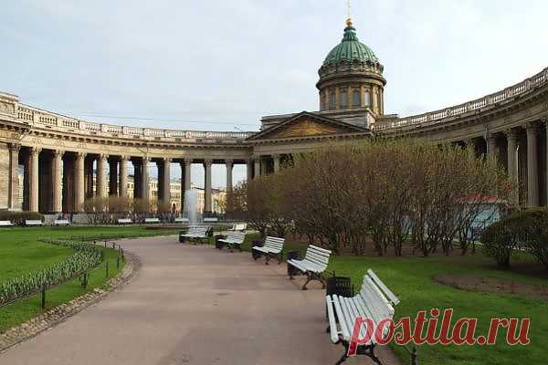 В Петербурге из-за аномального тепла взошли пионы и чеснок