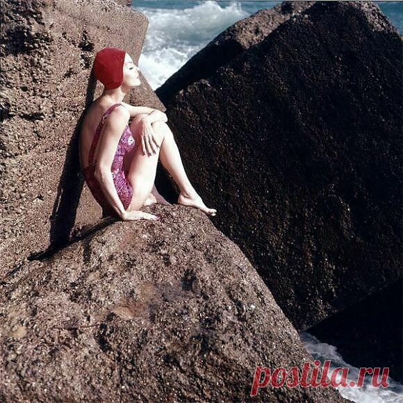 Tom Palumbo и фото красивых женщин