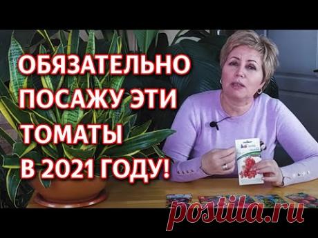 Лучшие сорта томатов 2021 года. Новинки сортов помидор и томаты проверенные временем! - YouTube