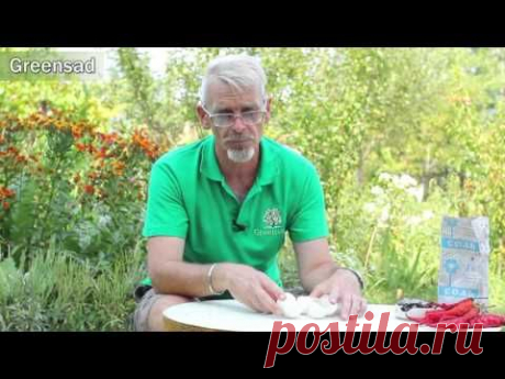 Как бороться со слизнями - YouTube