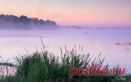 И мягко стелется туман....