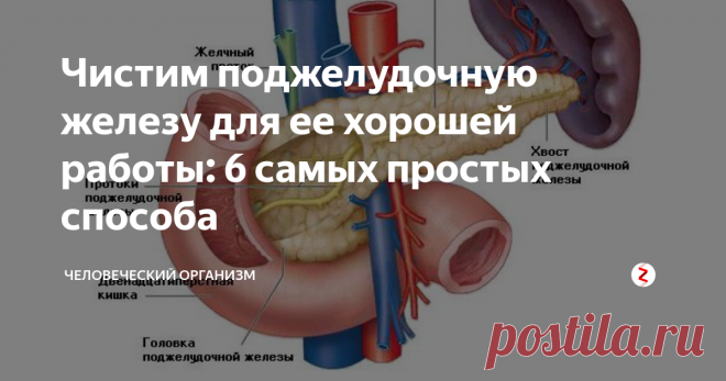 Чистим поджелудочную железу для ее хорошей работы: 6 самых простых способа Скорее всего, если у вас не было проблем с вашей поджелудочной железой, вы не знаете, так много об этом часто забытом органе.
Поджелудочная железа - это небольшой орган, расположенный глубоко внутри живота позади вашего желудка. Он производит химикаты, необходимые вашему организму для переваривания пищи. И он играет важную роль в контроле сахара в крови.
На самом деле, каждый раз, когда вы употреб
