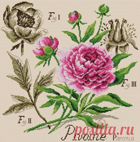 &quot;Хомячки&quot; | рукоделие | схемы | вышивка