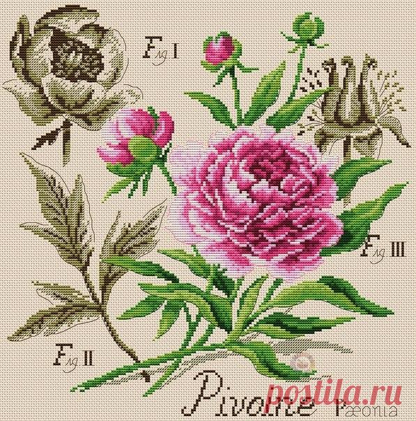 "Хомячки" | рукоделие | схемы | вышивка