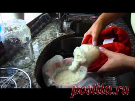 МОЛОЧНЫЙ, КЕФИРНЫЙ ГРИБ И КАК СДЕЛАТь  ДОМАШНИЙ ТВОРОГ (ПРОБИОТИК)