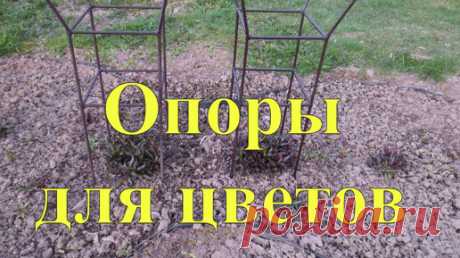 Статьи, новости и видео от популярных блогеров и СМИ | Будь в теме — будь в Дзене