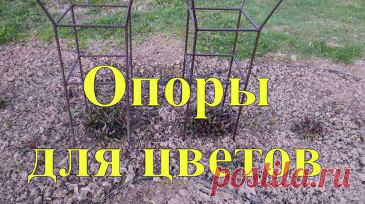 Статьи, новости и видео от популярных блогеров и СМИ | Будь в теме — будь в Дзене