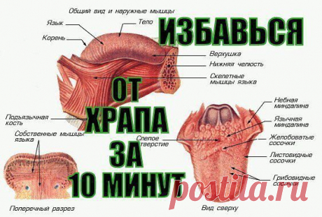 Как за 10 минут ИЗБАВИТЬСЯ ОТ ХРАПА НАДОЛГО!