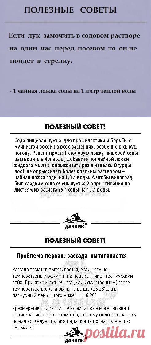 Одноклассники       Полезные советы...