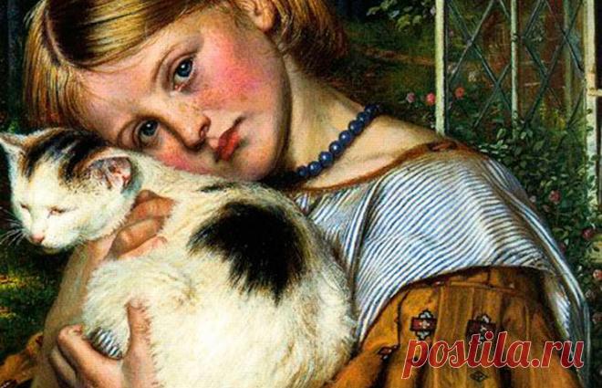 Почему кошки на Руси были роскошью и откуда они появились?