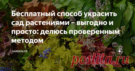 Бесплатный способ украсить сад растениями – выгодно и просто: делюсь проверенным методом Каждый, кто имеет садовый участок, знает, что на приобретение растений уходит немалая сумма денег. Причем дорого обходятся не только крупномерные саженцы и особо редкие декоративные сорта. В садовых магазинах недешево стоят даже самые обычные и распространенные многолетники, которые неплохо размножаются как семенами, так и методом деления. Уже только по этой причине не стоит тратиться ...