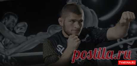 UFC 253  все бои ЮФС в прямой трансляции Матч ТВ
