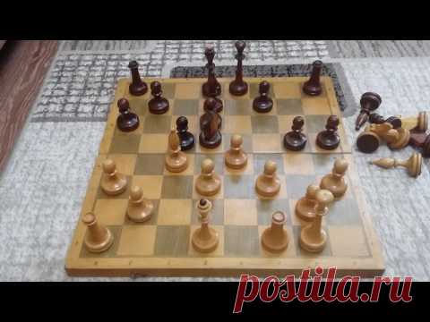 Как правильно начинать партию, атака на рокировку. Шахматы. Урок 8.