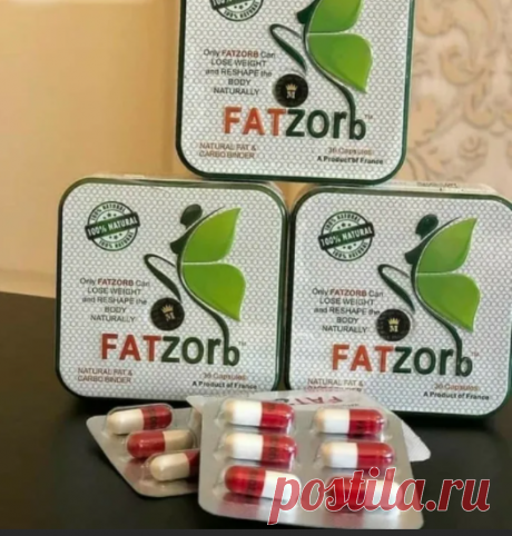 Преимущества капсул Fatzorb перед аналогами Препарат для похудения Фатзорб в отличие от аналогов имеет:  натуральный растительный состав; комплексное действие; безопасность; нет противопоказаний, за исключением аллергии на состав или периода беременности; работает в проблемных местах: живот, бока, ягодицы; средство сертифицировано, прошло ряд клинических испытаний; пролонгованное действие – работает после пройденного курса.