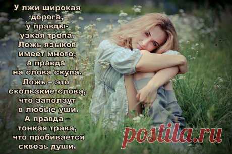 (79) Одноклассники