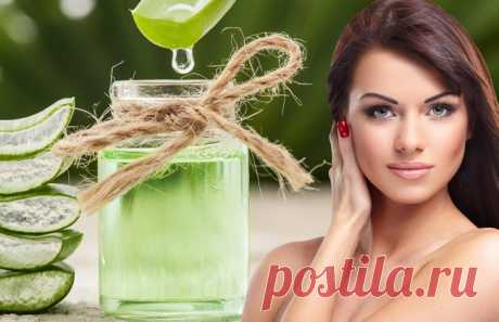 Алоэ вера — эффективное средство для похудения в домашних условиях Как использовать алоэ вера в домашних условиях, чтобы эффективно худеть. Его польза, противопоказания. Напитки и сиропы на его основе.