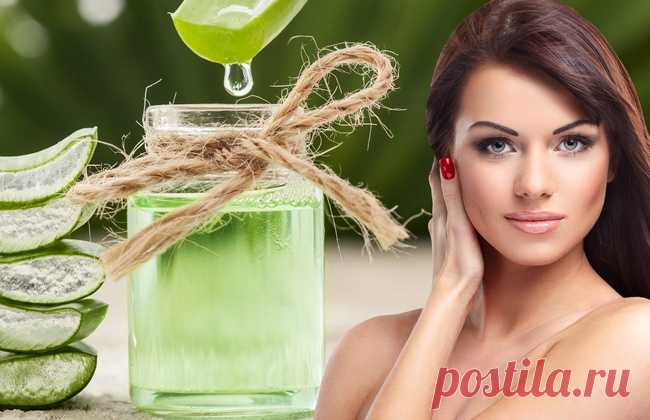 Алоэ вера — эффективное средство для похудения в домашних условиях Как использовать алоэ вера в домашних условиях, чтобы эффективно худеть. Его польза, противопоказания. Напитки и сиропы на его основе.