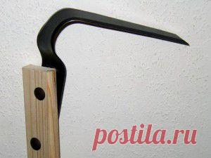 5 советов огороднику