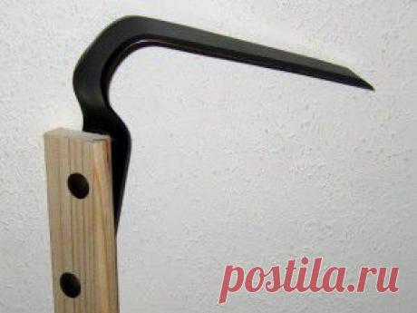 5 советов огороднику