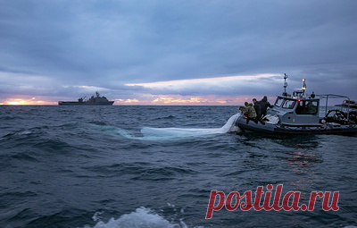 Американские военные подняли со дна Атлантического океана части китайского аэростата. Координатор по стратегическим коммуникациям в Совете нацбезопасности Белого дома Джон Кирби отметил, что в Вашингтоне "прямо сейчас изучают обломки"