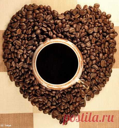 30 советов по жиросжиганию