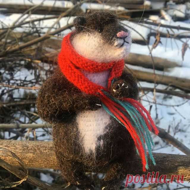 Однажды в раннее сонное утро госпожа  Зима спешила на работу ,она одела свою красивую белую шубку и белые сапожки .  Как обычно добираясь  на работу на трамвае...который был переполнен грусными ,сонными людими...они талкались и бурчали ... случайно в трамвае господин Понедельник наступил ей на ногу 🙈Как она была обижена ,как она злилась ,сапожки были испорченны...настроение тоже... 😒

Сегодня зима разошлась не на шутку с самого утра -16 😈

Зима словно обижена на горожан...