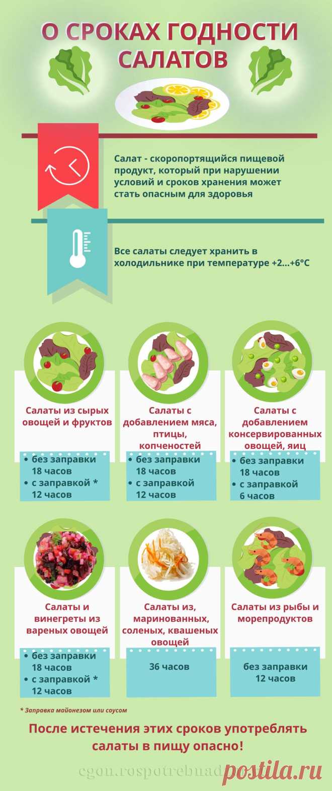 О сроках годности салатов