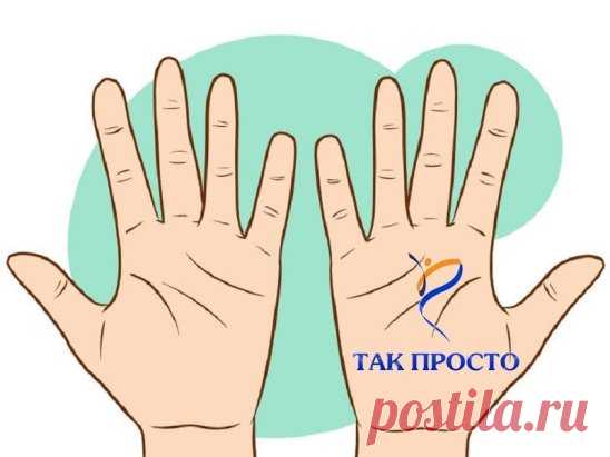 Если на твоей ладони есть этот редчайший знак , ты — особенный!
Трудно сказать, что такое хиромантия: простое гадание, некая духовная практика или целая наука. Но известно одно — в это учение верили в течение тысячелетий, и до сих пор многие уверены, что по линиям на ладонях можно рассуждать о судьбе человека.
К сожалению, «Так Просто!» не знает всех принципов руковедения. Но мы более чем уверены, что неспроста буквы на наших ладонях хоть слегка, но выделяются. А еще такие знаки таят в себе нечт