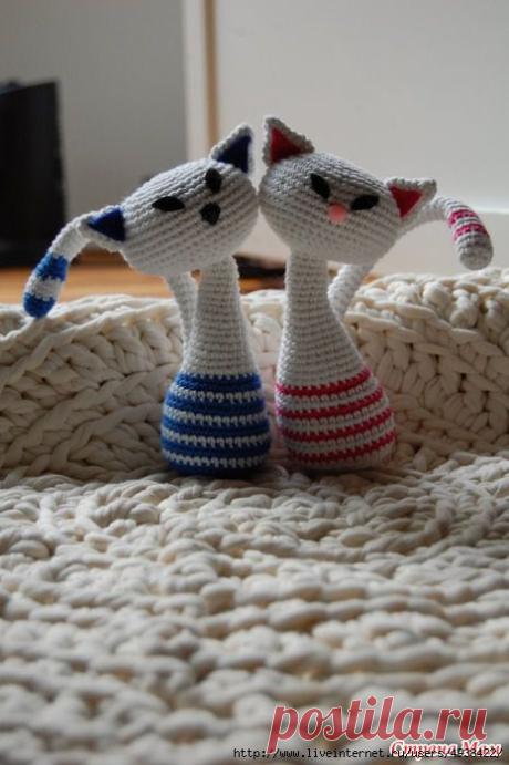 Кошечки