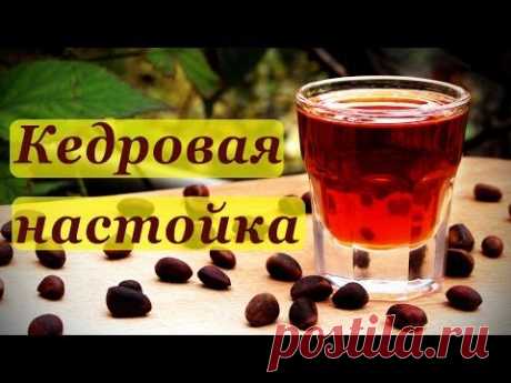 Рецепт кедровой настойки, домашняя кедровка