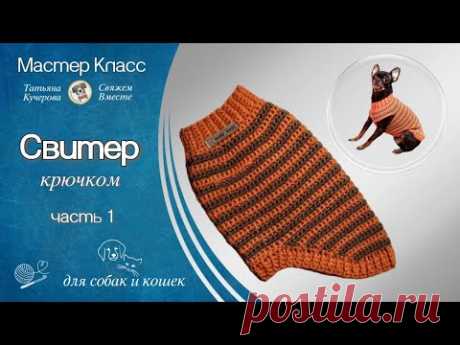 Crochet sweater for dogs and cats, part 1