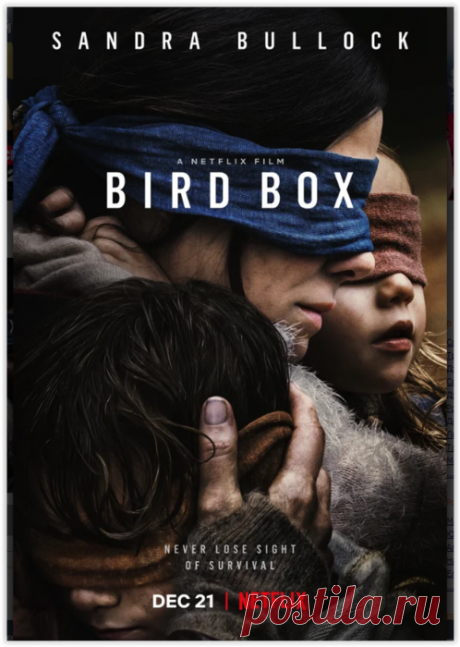 "Птичий короб" - страшный фильм о нашем ближайшем будущем...