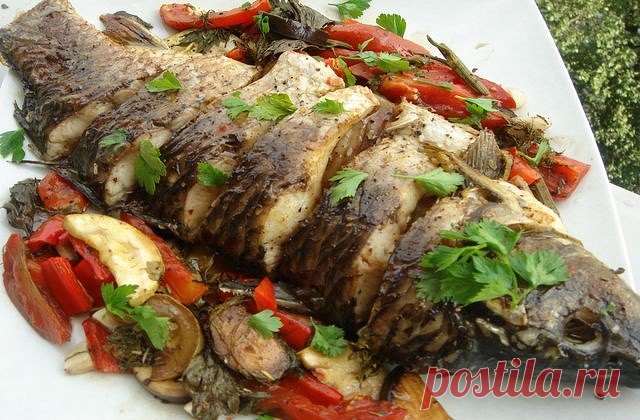 Как запечь рыбу в духовке – 18 рецептов приготовления, вкусно и полезно!