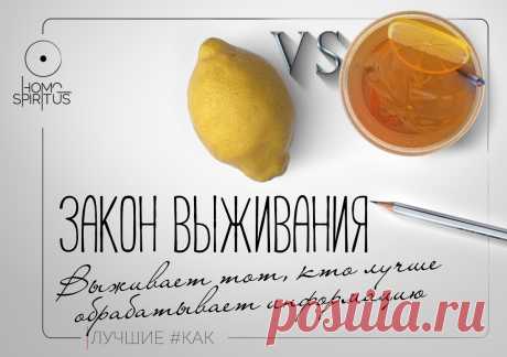В этом мире постоянна только одно - все меняется. Этот первородный закон и действует он на всех уровнях. Физическом - выживет организм, способный приспособиться к окружающей среде. Психологическом - сможешь найти идеальное для себя решение, защитить свои интересы или очистить главное от шелухи. Профессиональном - способность обучаться и стремиться к цели, и финансовом - уметь находить возможности и видеть перспективы.
#дневники #мотиваторы #психология