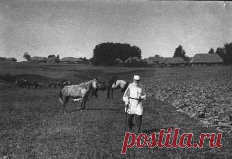Пользователь Mile Perić сохранил этот пин на доску «Tolstoj»
Leo Tolstoy.   |  Pinterest