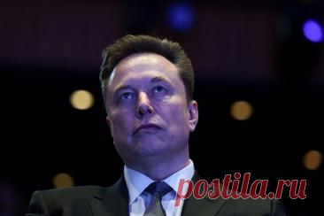 Маск сделал резкое заявление о ЕС