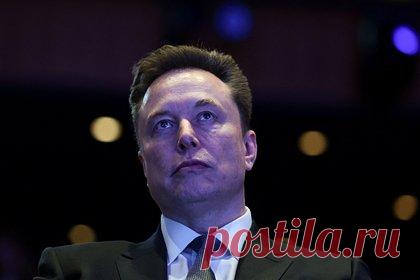 Маск сделал резкое заявление о ЕС