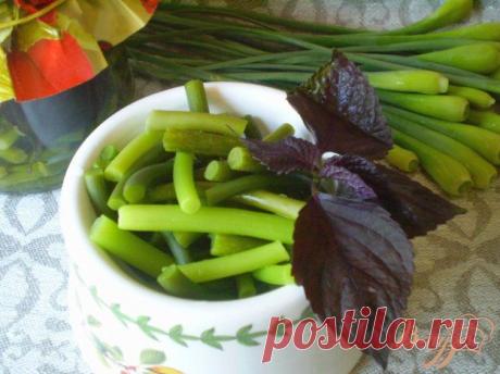 Чесночный стрелки в маринаде