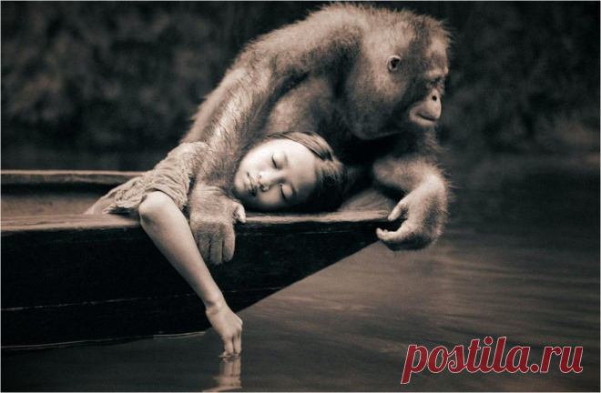 Удивительные фотографии Грегори Колбра (Канадец, фотограф, кинематографист)